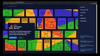 Reacting to StackOverflow Developer Survey 2021