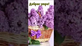 С добрым утром! Доброе утро! Бодрого дня!