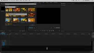 778548   11   Importing Content and Premiere Pro Folder Structure