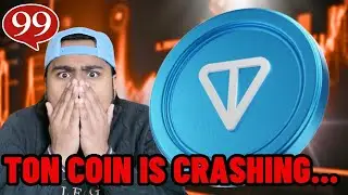 TON COIN IS CRASHING!! Should you buy Ton Coin?!