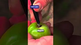 Ни за что не ешьте такой помидор 😧🍅