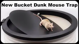 A New Bucket Dunk Mouse Trap Sold On Amazon. Mousetrap Monday