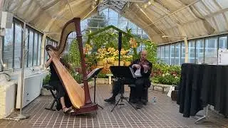 At Last  ~ Harp and Violin Duo ~ Tiffany Jones