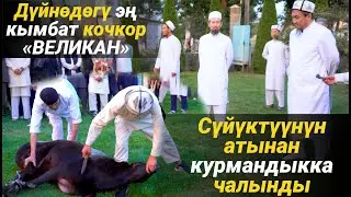 ЭҢ КЫМБАТ💰КУРМАНДЫК БОЛДУ😯😯😯// КАРА-БАЛТА Ш. // НУР МЕЧИТИ