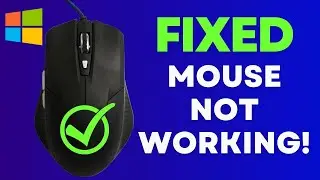 Exclusive Guide to Fixing Mouse and Trackpad Issues on Windows 10/11