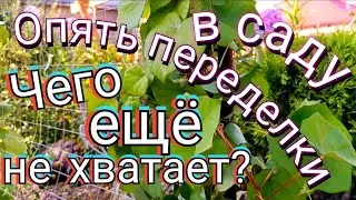 Переделки в саду! Чего мне ещё не хватает??? Лианы. Новая зона в саду