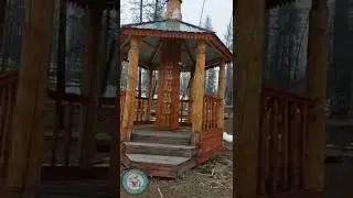You're a WOODPECKER. That's what this FOREST TERRORIST is capable of. Have you seen this? 
