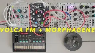 semi-generative ambient | korg volca fm + makenoise morphagene