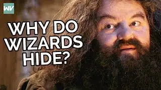 Why Wizards Hide From Muggles In Harry Potter!