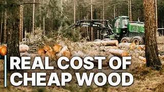 The Real Cost Of Cheap Wood | IKEA | Wood Industry | Sustainability | Documentary