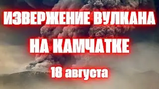 Извержение вулканв Шивелуч на Камчатке  Пепельный снегопад, вулкан второй раз за сутки выбросил пепе