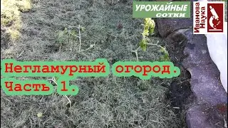 Негламурный огород-1. Посадка томатов в открытый грунт или как из чего-то получить что-то.