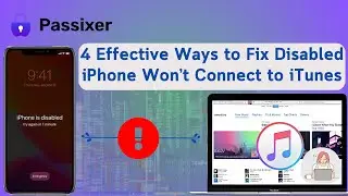 4 Effective Ways to Fix Disabled iPhone Won’t Connect to iTunes