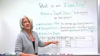 What is an Issue Log?