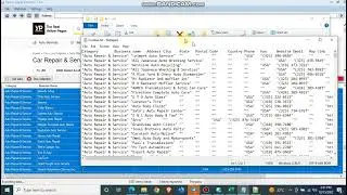 How to extract and validate business number lead