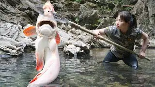 Catching stream fish with a knife, trap making skills, survival alone