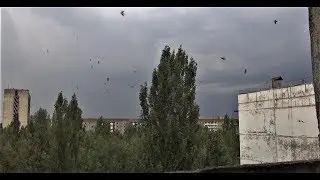 Pripyat. Summer. Nature. Rainbow. Радуга. Природа. Лето. Припять.