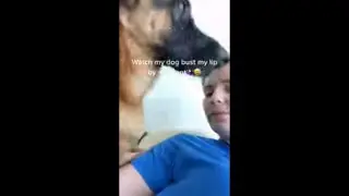 Dog Accidentally Knee Smacks Girl in Face Trying to Go Around Her
