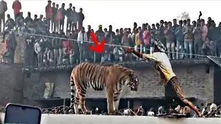 Wild animals  Human Confrontations A Normal day in India