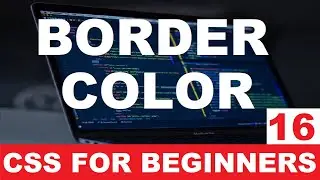 CSS Tutorial 16 : Border color #short