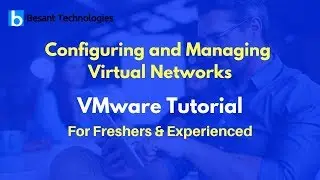 Configuring and Managing Virtual Networks | VMware  Tutorial For Beginners