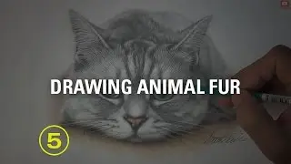 Can you really draw every unique fur type with just a pencil?