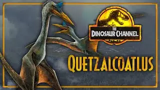 What Was The Quetzalcoatlus? - The Dinosaur Channel