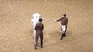 The Spanish Riding School of Vienna