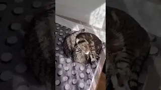 Приветы из дома. 