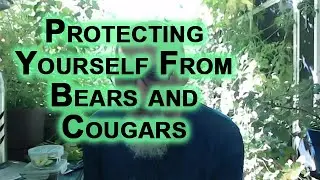Protecting Yourself From Bears and Cougars in the Forest: Some Wildlife Survival Advice, How to