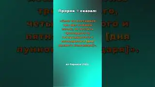 Пост в середине лунного месяца: сунна. 