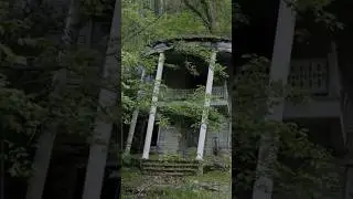 this abandoned house gave me vertigo