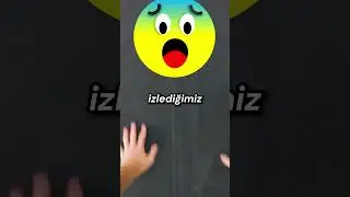 Bu Devasa Kediyi Görürseniz Hemen Kaçın!🐈⚠️