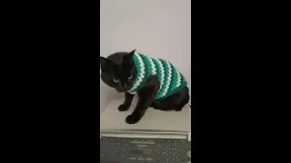 Свитер Изумруд для кота крючком