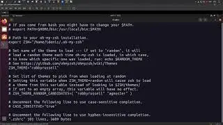 Установка zsh и oh-my-zsh в Ubuntu 21.04