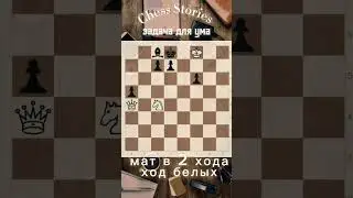 Задача для ума #chess #stories #задачи #шахматы #shorts