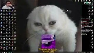 Братишкин рекламный стрим с Рекрентом в wather of realms