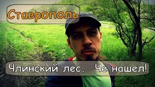 Ставрополь. Лес. Река Чла. Что же это я нашел!