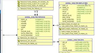 APEX16 of 30:  Add LOVs to a master-detail form.  Use application URL as an end-user.