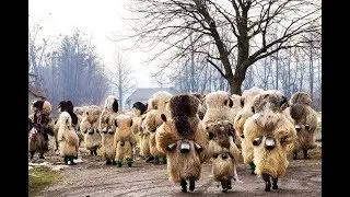 Woolly Beasts Scare Away Winter in Slovenia