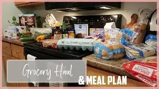 Grocery Haul and Meal Plan | Meal Ideas