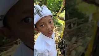 Ketika semua belum siap panen tebu adalah jalan ninjaku 