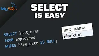 MySQL: How to SELECT data from a TABLE