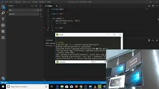 debug golang vscode 2018 11 16 14 35 56