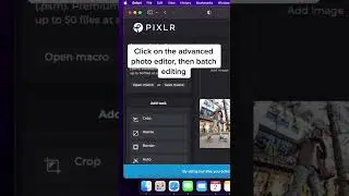 How To Batch Edit Your Photos Using Pixlr