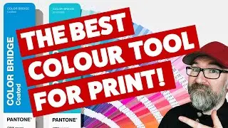 Pantone Bridge Guides - The Best Colour Tool For Graphic Designers 2021