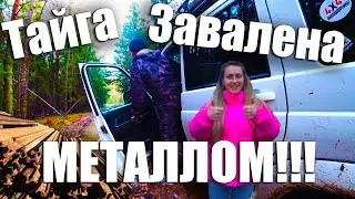 АФИГЕТЬ!!!Таёжное БОЛОТО ЗАПОЛНЕНО МЕТАЛЛОМ!!!Танюшка нашла громадную НАХОДКУ!!!Заблудились НОЧЬЮ!!!