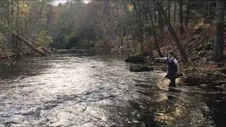 Fishing THE TROUT GEM of Massachusetts!!