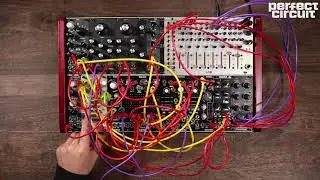Ritual Electronics Altar SVF & Miasma Distortion Eurorack Modules