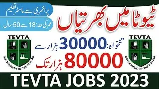 TEVTA Jobs 2024 Online Apply - Technical Education & Vocational Training Authority Jobs 2024